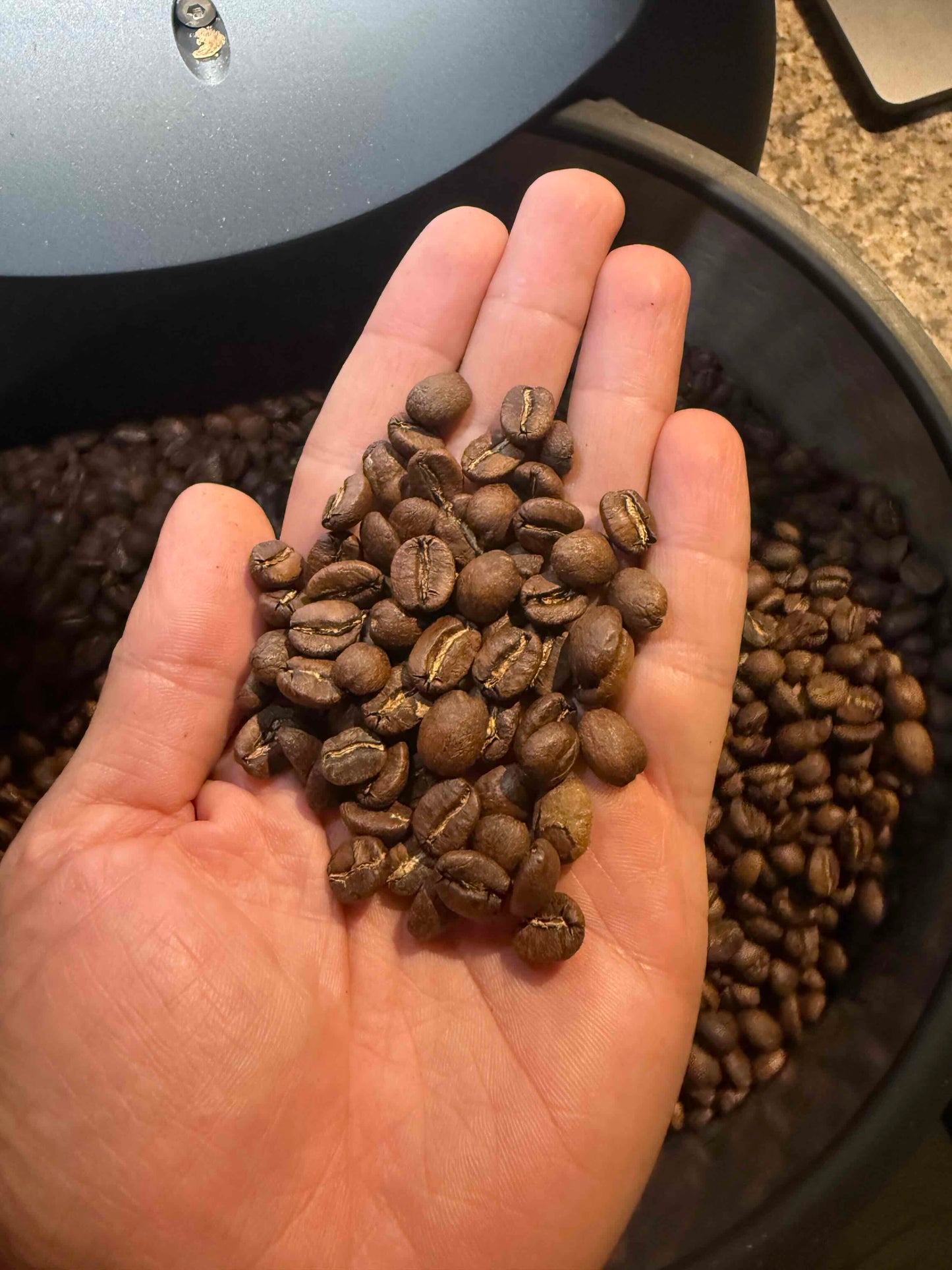 Kenya Gichuka AA Fully Washed