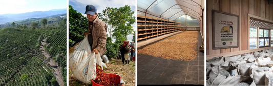 Costa Rica Aquiares Don Alfonso Estate