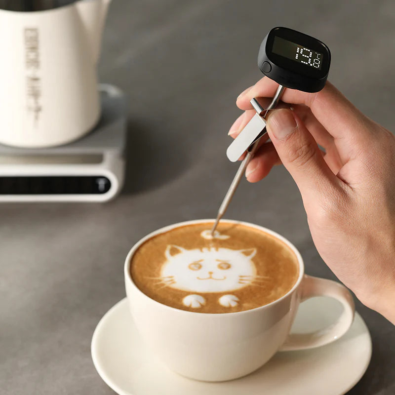 MHW-3BOMBER PORTABLE LCD DIGITAL THERMOMETER