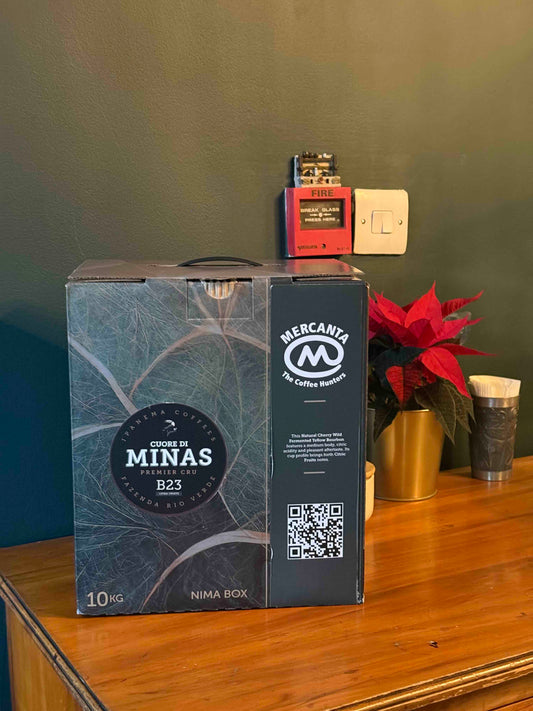 Brazil B23 Ipanema Premier CRU