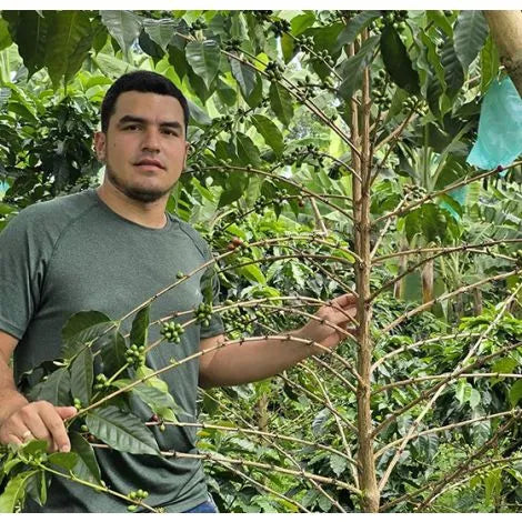 Colombia Finca Las Brisas Gesha Washed