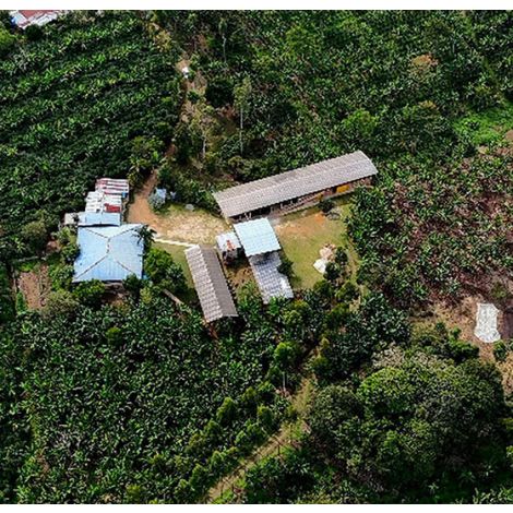 Colombia Finca Las Brisas Gesha Washed