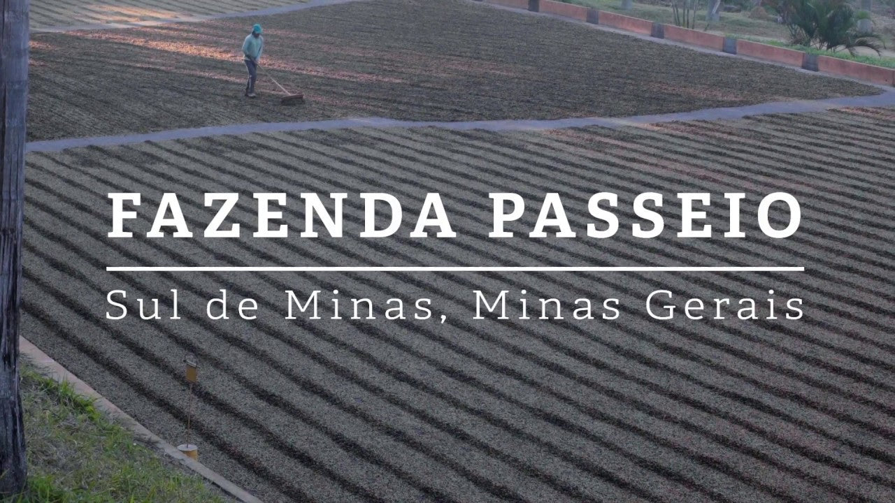 Brazil Fazenda Passeio