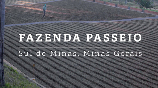 Brazil Fazenda Passeio